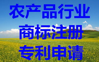 知識產(chǎn)權(quán)保護(hù)全攻略 從商標(biāo)查詢到版權(quán)代理的完整指南